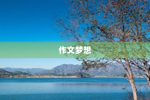 作文梦想 作文梦想
