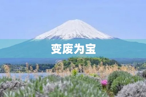 变废为宝 变废为宝