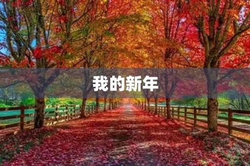 我的新年 我的新年