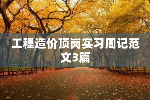 工程造价顶岗实习周记范文3篇