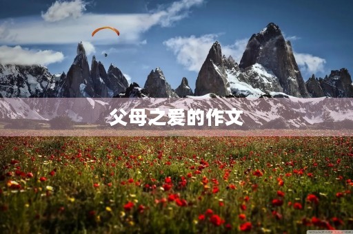 父母之爱的作文 父母之爱的作文