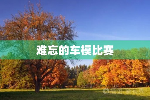 难忘的车模比赛