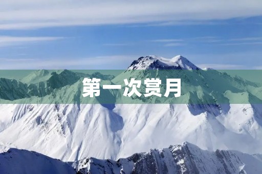 第一次赏月 第一次赏月