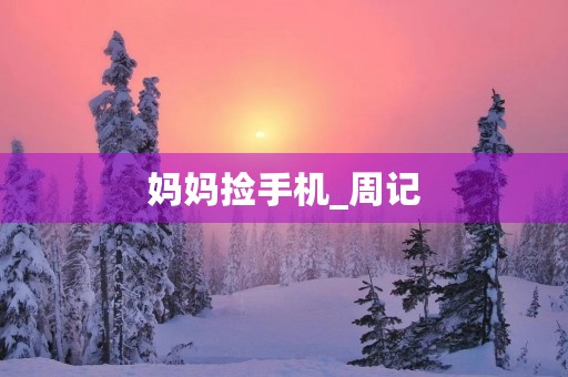 妈妈捡手机_周记