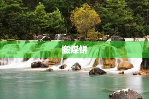 搬煤饼 搬煤饼