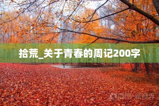 拾荒_关于青春的周记200字
