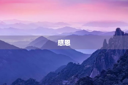 感恩 感恩