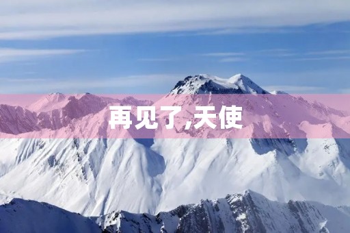 再见了,天使