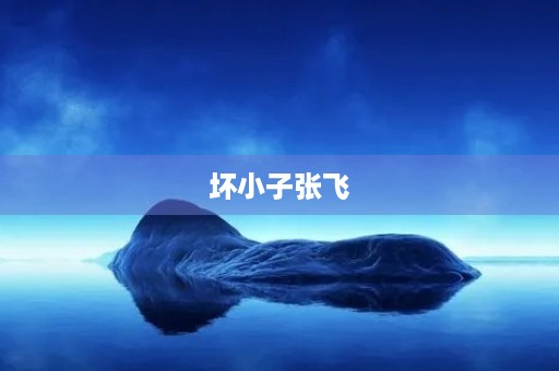 坏小子张飞 坏小子张飞
