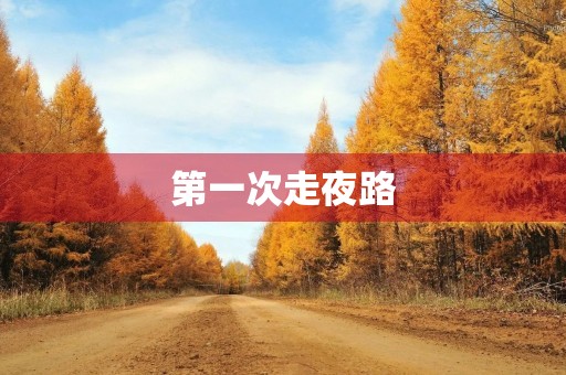 第一次走夜路 第一次走夜路