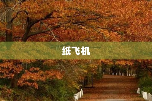 纸飞机