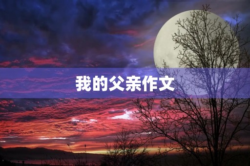 我的父亲作文 我的父亲作文