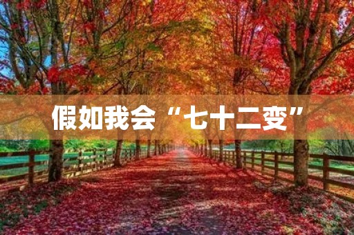 假如我会“七十二变”