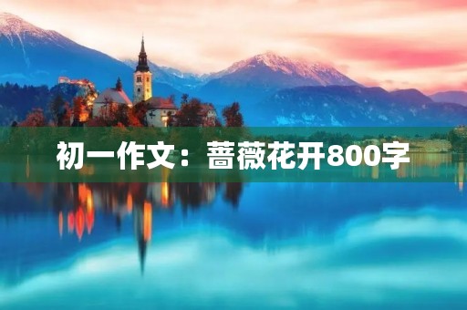 初一作文：蔷薇花开800字