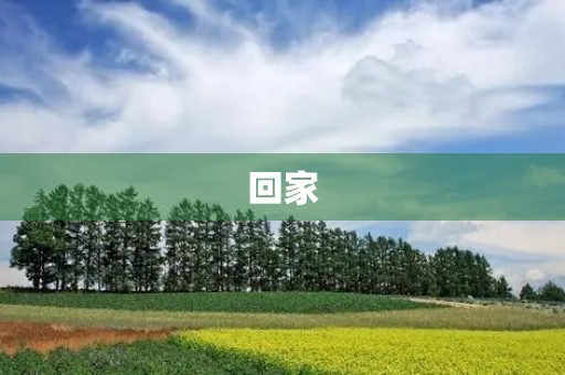 回家 回家
