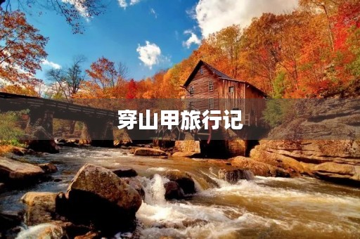 穿山甲旅行记 穿山甲旅行记