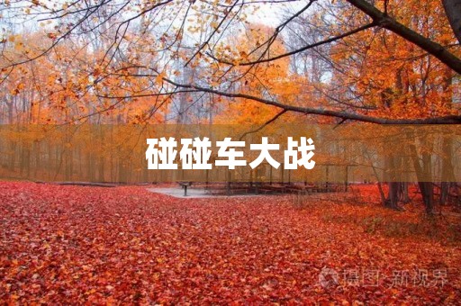 碰碰车大战 碰碰车大战