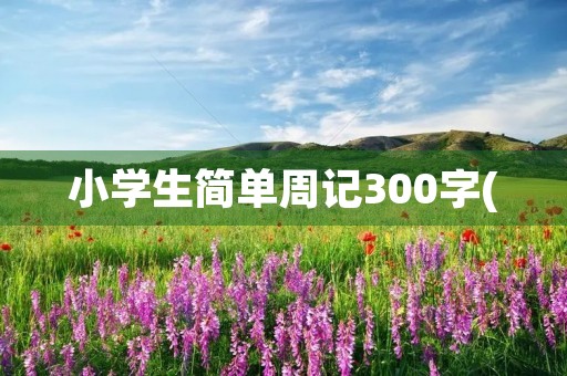小学生简单周记300字(