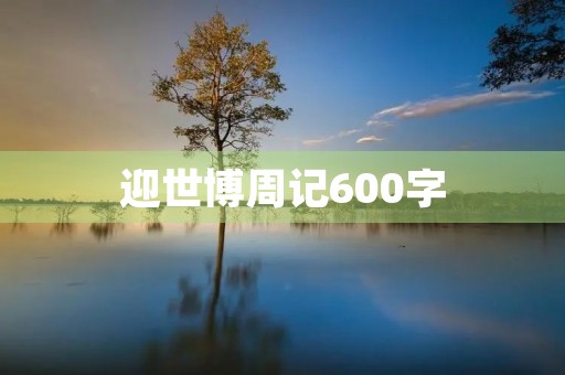 迎世博周记600字