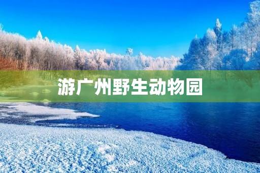 游广州野生动物园