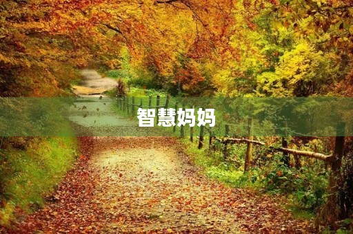 智慧妈妈