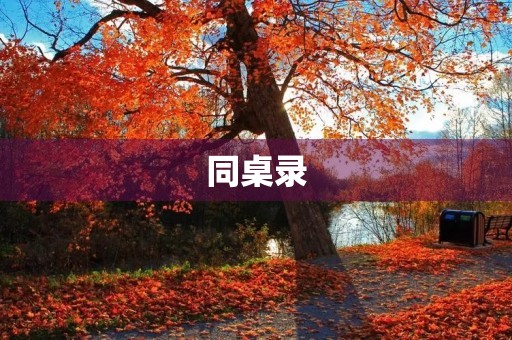 同桌录 同桌录