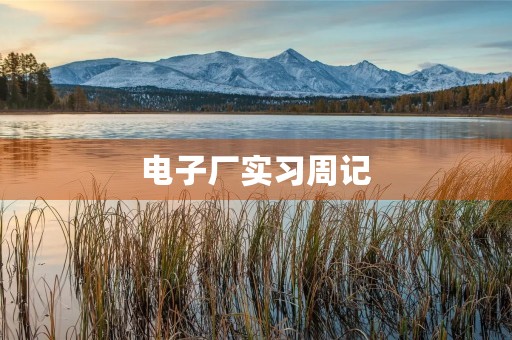 电子厂实习周记