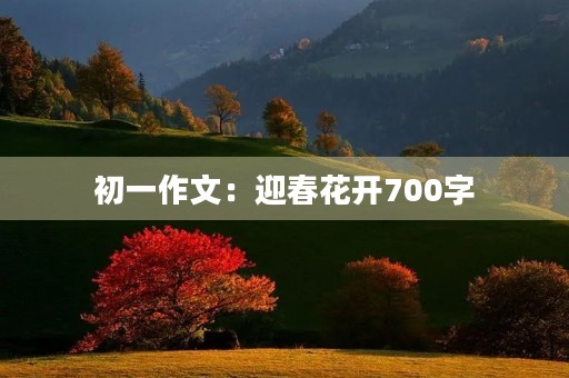 初一作文:迎春花开700字 初一作文:迎春花开700字