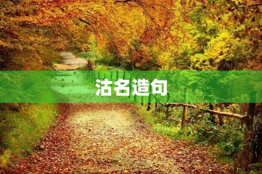 沽名造句