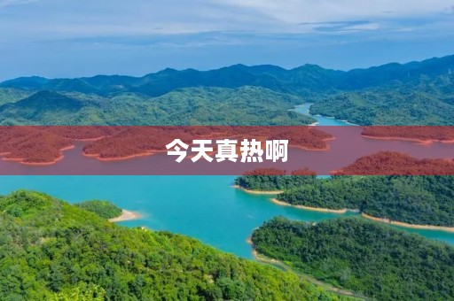 今天真热啊 今天真热啊