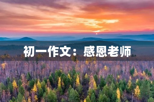 初一作文:感恩老师 初一作文:感恩老师