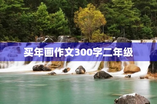 买年画作文300字二年级 买年画作文300字二年级