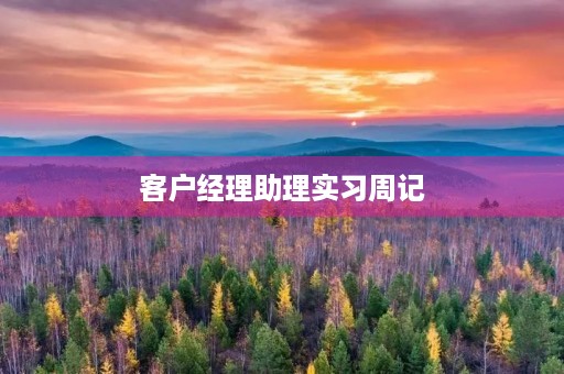 客户经理助理实习周记 客户经理助理实习周记
