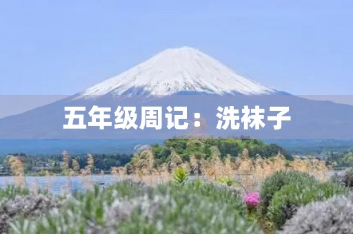 五年级周记：洗袜子