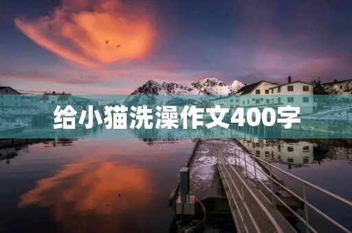 给小猫洗澡作文400字