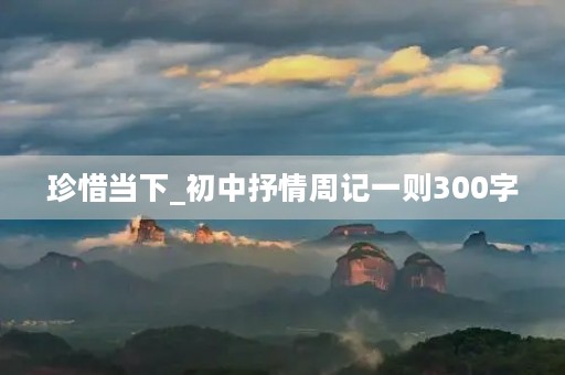 珍惜当下_初中抒情周记一则300字