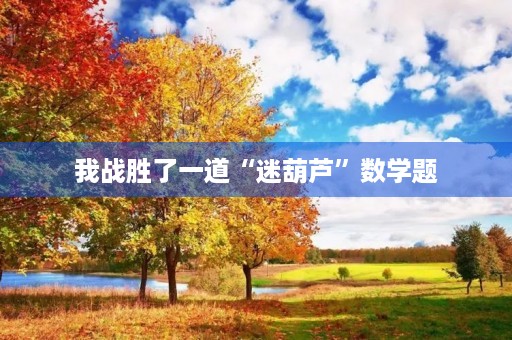 我战胜了一道“迷葫芦”数学题