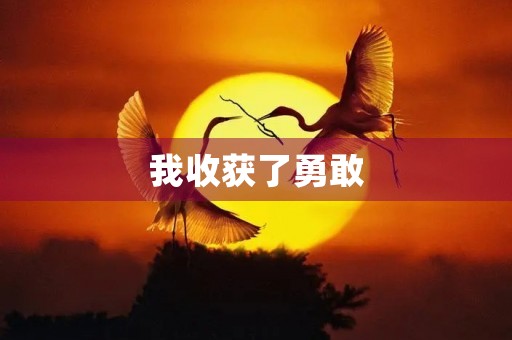 我收获了勇敢 我收获了勇敢