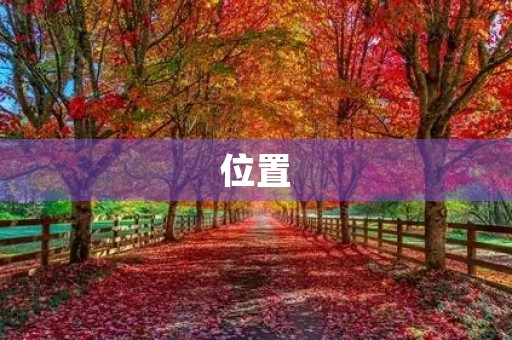 位置 位置