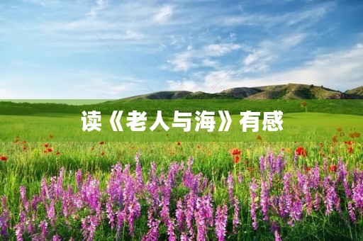 读《老人与海》有感 读《老人与海》有感