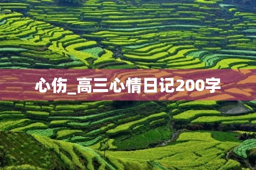 心伤_高三心情日记200字