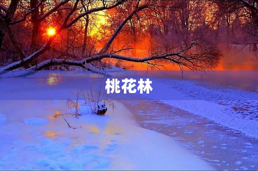 桃花林 桃花林