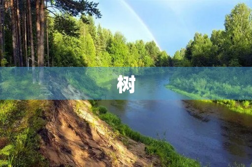 树 树