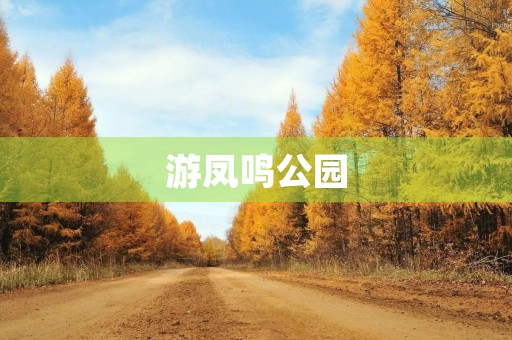 游凤鸣公园 游凤鸣公园
