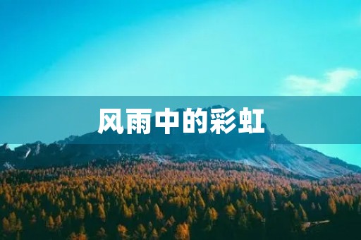 风雨中的彩虹 风雨中的彩虹