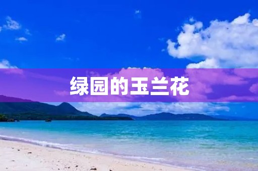 绿园的玉兰花 绿园的玉兰花