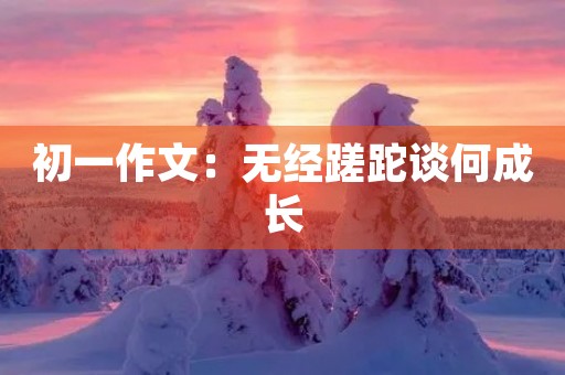 初一作文：无经蹉跎谈何成长