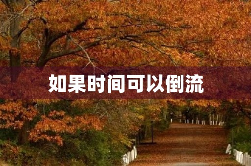 如果时间可以倒流 如果时间可以倒流