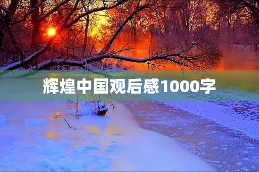辉煌中国观后感1000字 辉煌中国观后感1000字