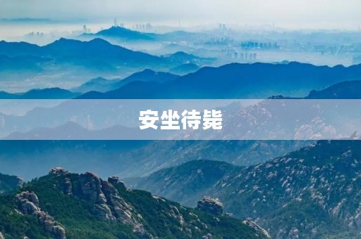 安坐待毙